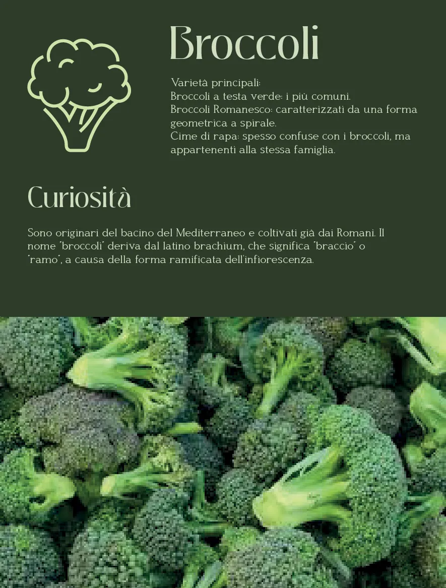 orti1.webp